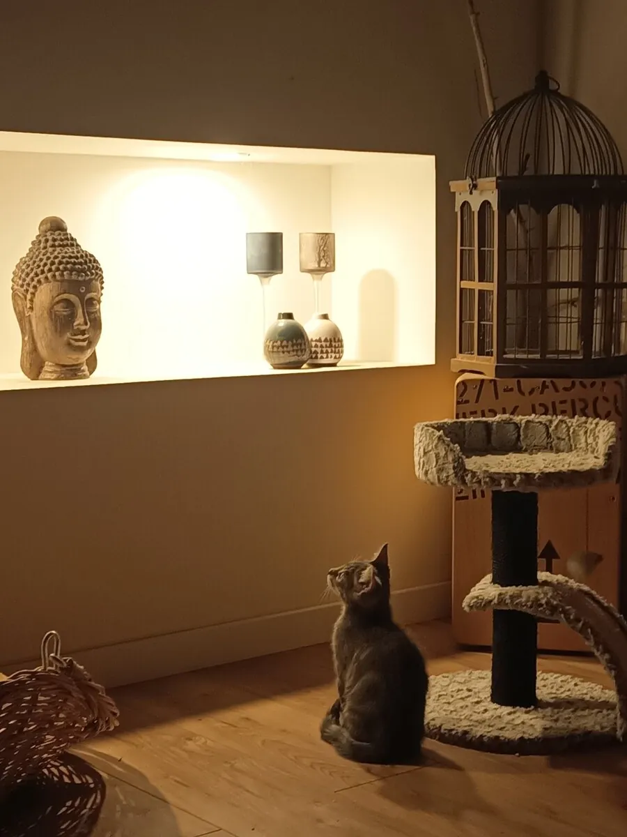 Niche lumineuse avec bouddha et vases, sol parquet